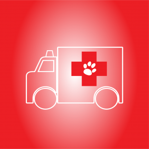 Ambulante Veterinare